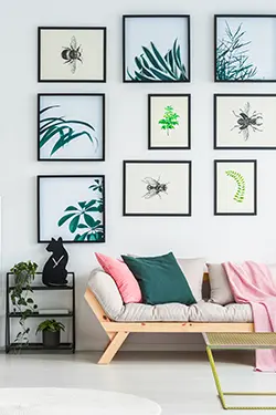 south florida home services
